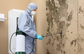 Best Real Estate Mold Inspection  in Cheney, KS